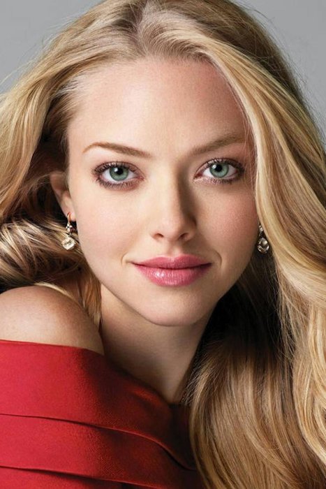 Amanda Seyfried net worth